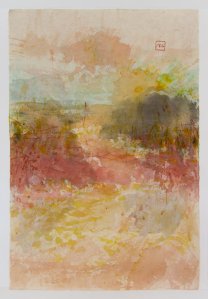 Soie - 50 x 75 cm - 2012